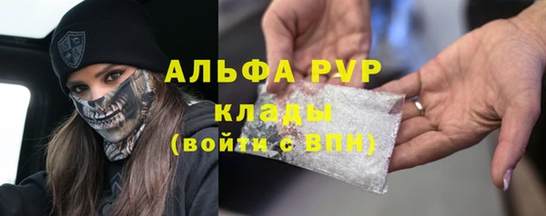 сатива Бородино