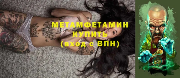 сатива Бородино