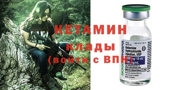 сатива Бородино