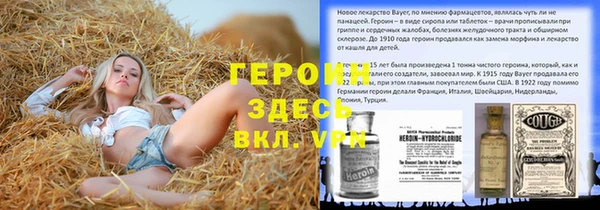 сатива Бородино