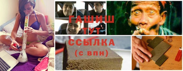 сатива Бородино
