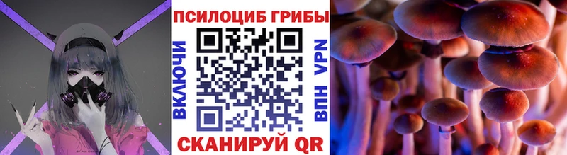 магазин    Тихвин  Галлюциногенные грибы GOLDEN TEACHER 